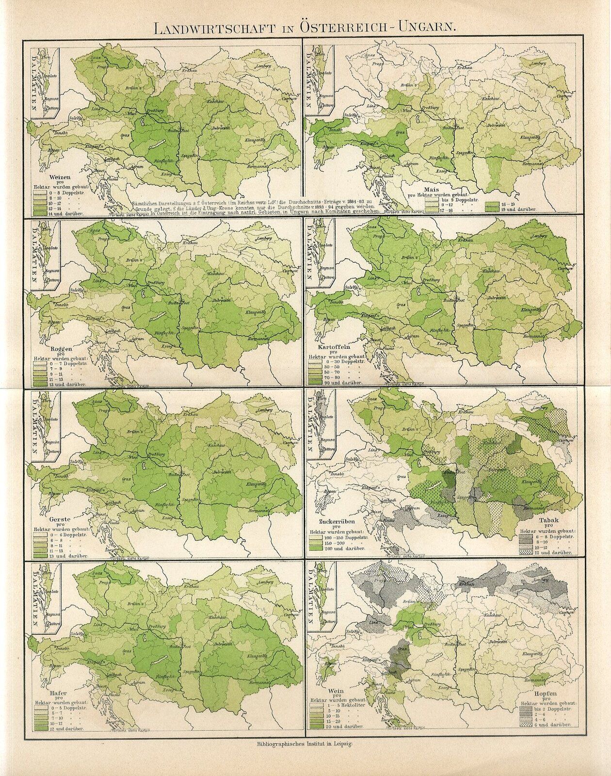 1895 AUSTRIA-HUNGARY EMPIRE AGRICULTURE MAP CZECH BUKOVINA UKRAINE Antique Map