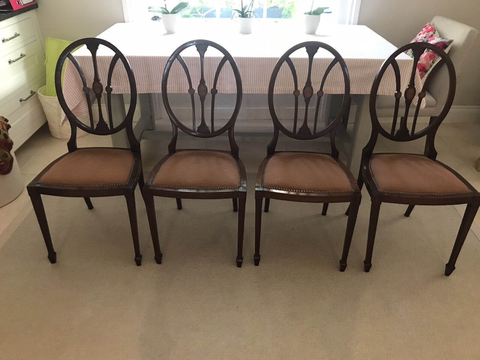 SHERATON REVIVAL 6 ANTIQUE CHAIRS