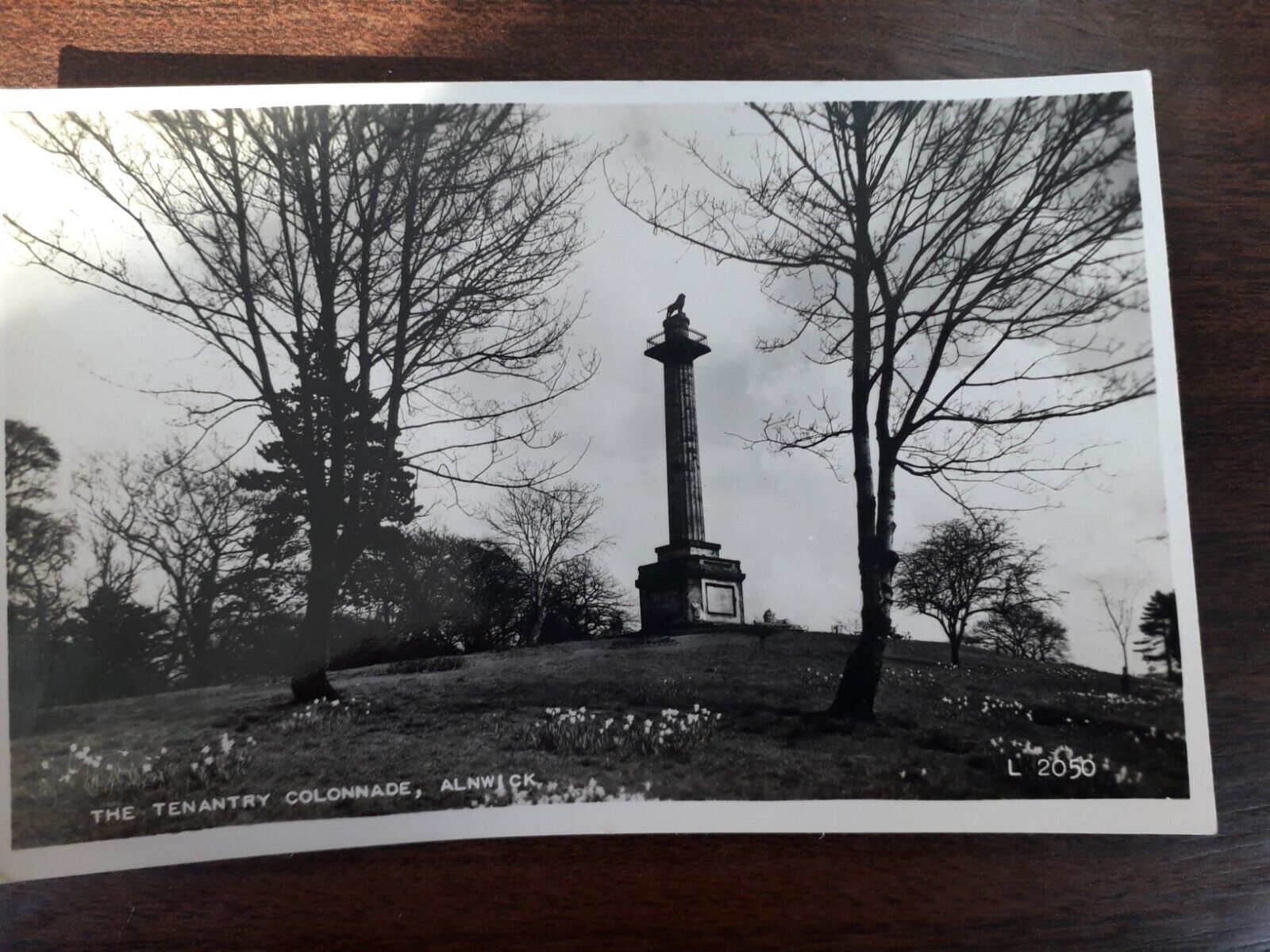 The Tenantry Colonade Alnwick Valentine's Real Photograph Service