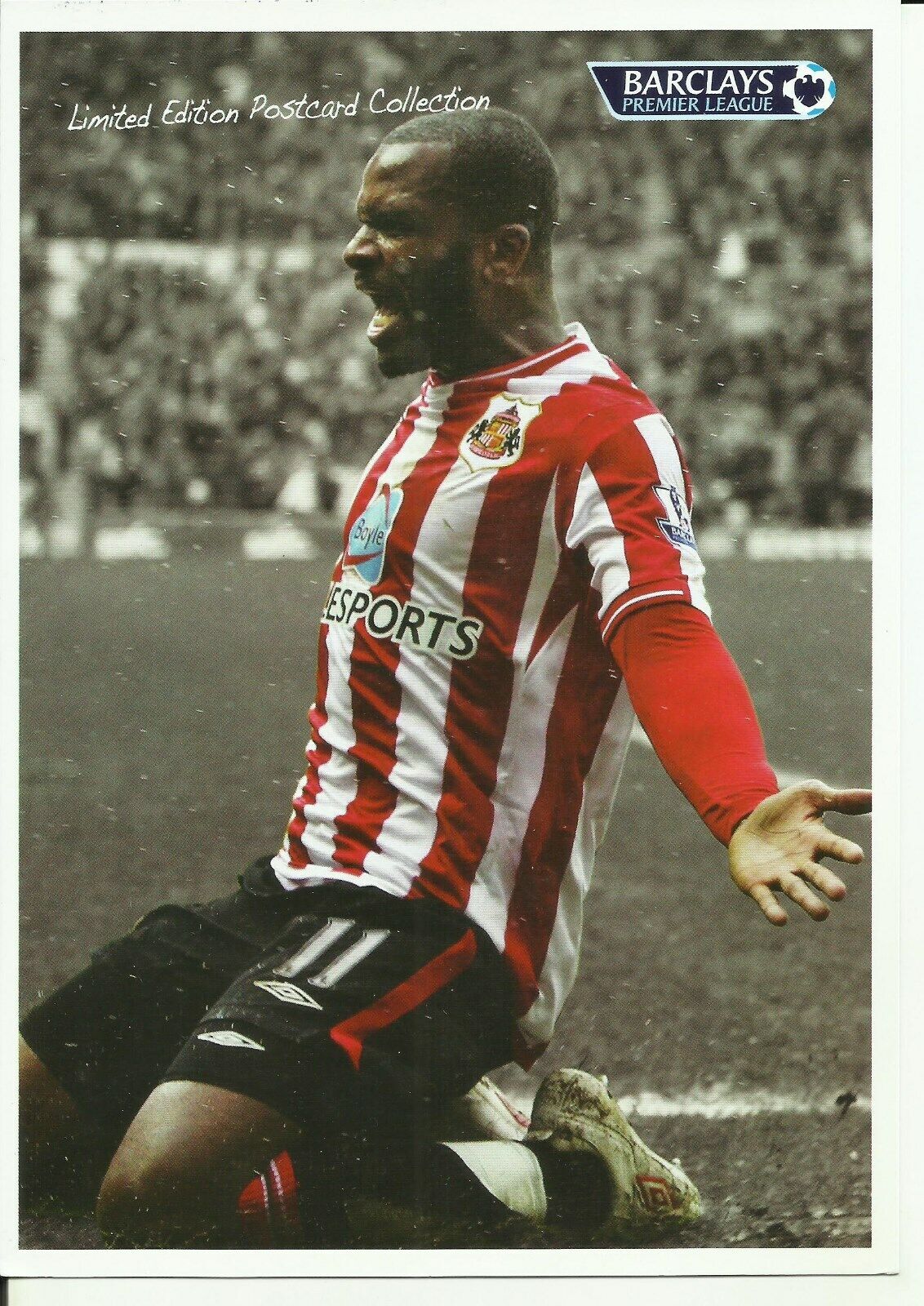 House Clearance - Unused Service - Sunderland v Tottenham Hotspur - 3 Apr 10 - Darren Bent