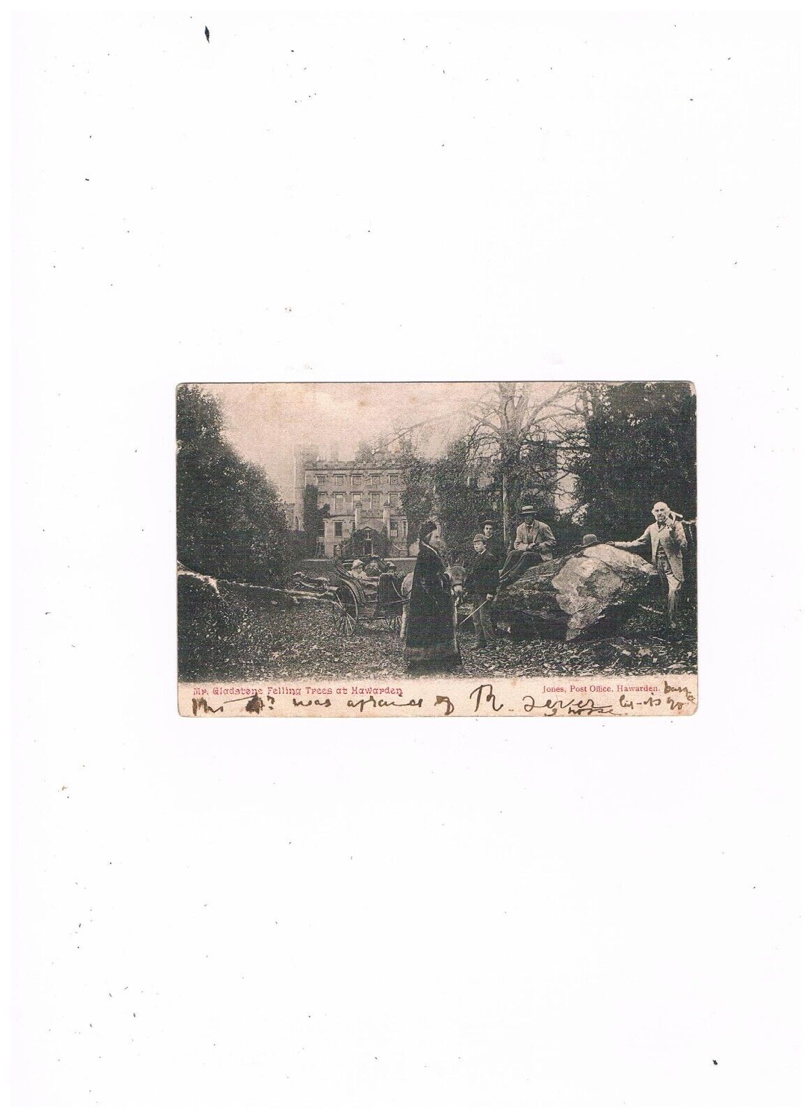 House Clearance - Mr. Gladstone Felling Trees at Hawarden