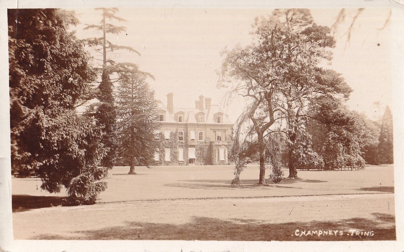 House Clearance - RPPC STANLEY LEIFS 1925 HEALTH RESORT CHAMPNEY'S OF TRING STILL RUNNING TODAY