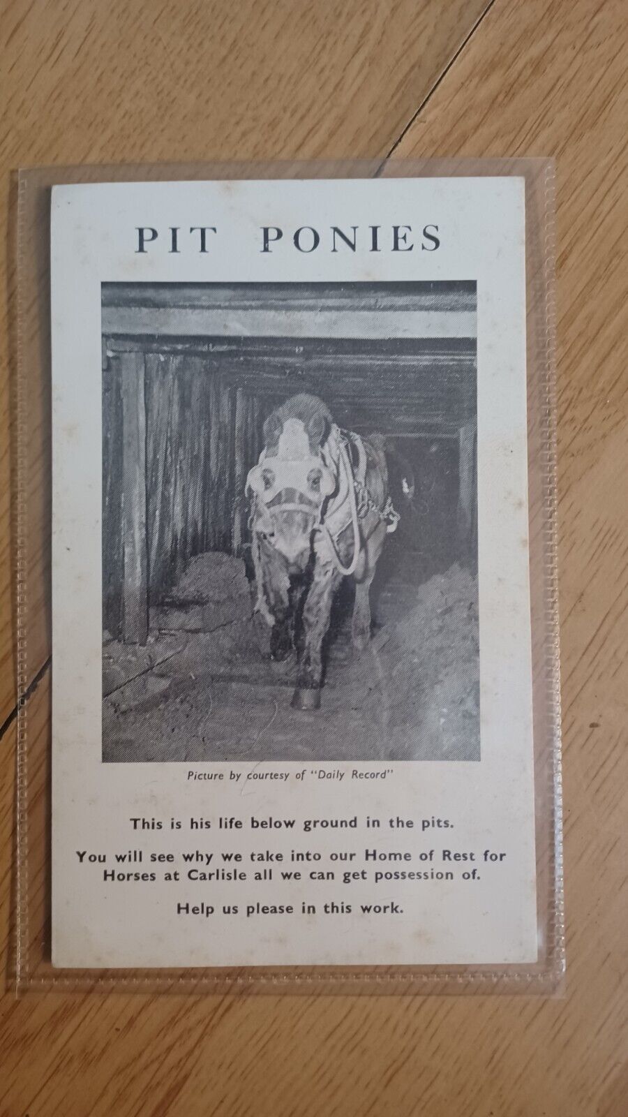 House Clearance - Vintage Service Pit Ponies, Carlisle Horse Charity Coal Mining